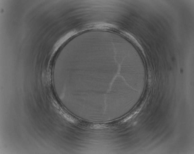 X0000081360835200702020138