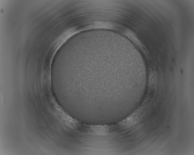 X0000081360836200702020138