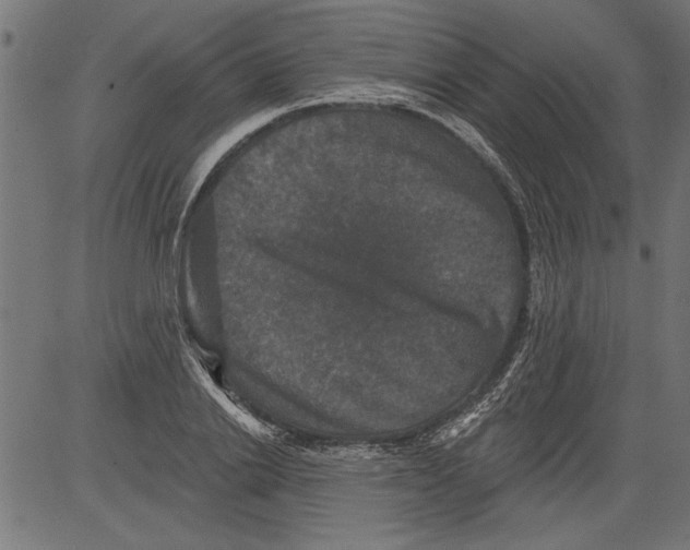 X0000081360838200702020138