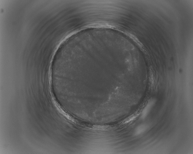 X0000081360840200702020138