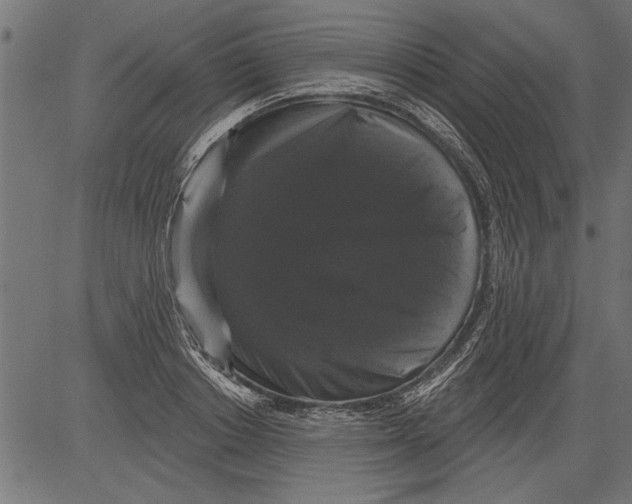 X0000081360842200702020138