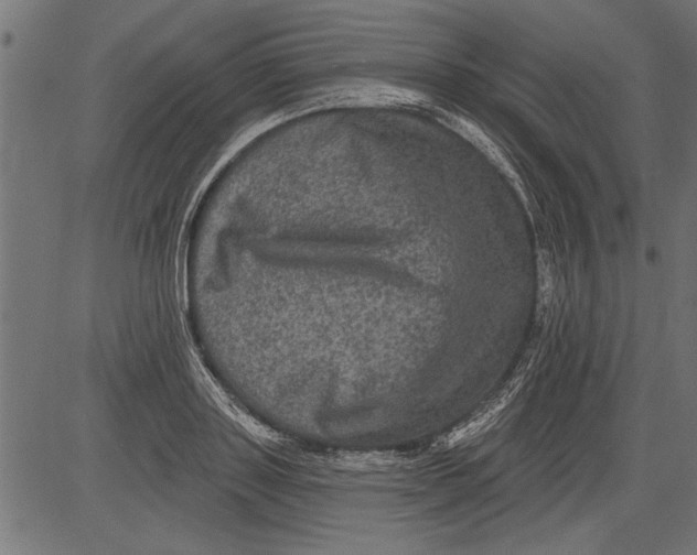 X0000081360843200702020138