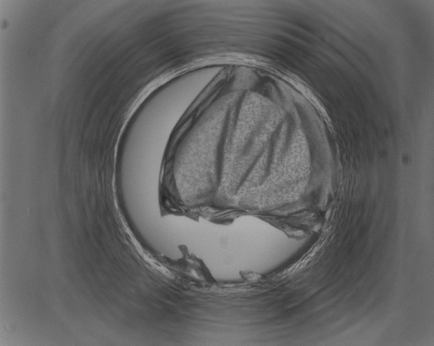 X0000081360845200702020138