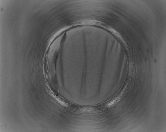 X0000081360846200702020138