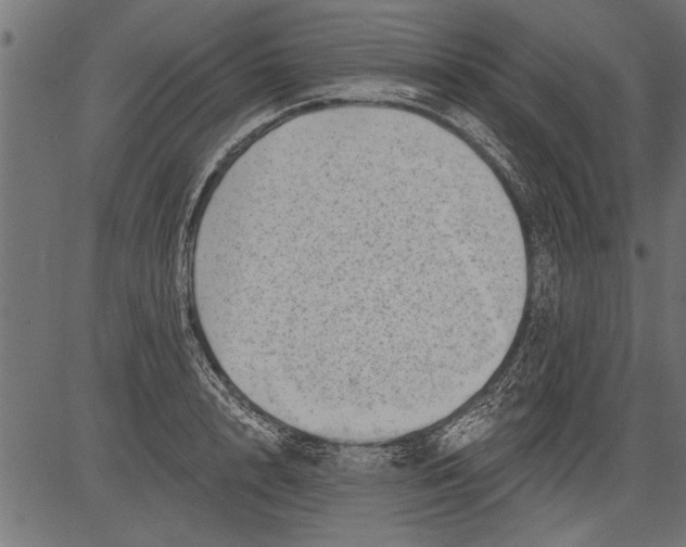 X0000081360848200702020138