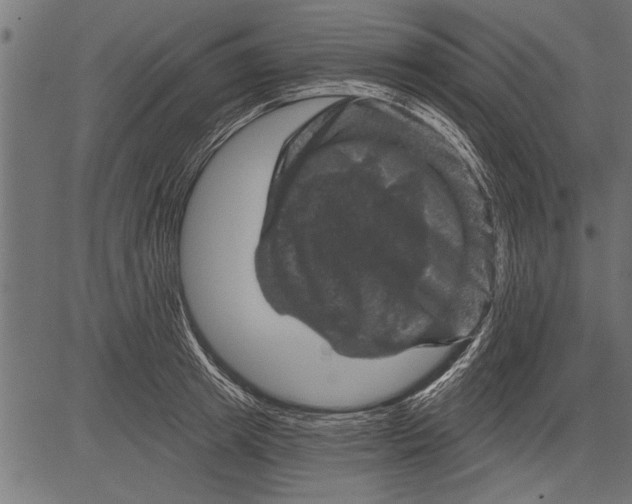 X0000081360849200702020138