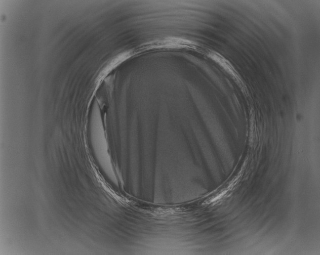 X0000081360850200702020138