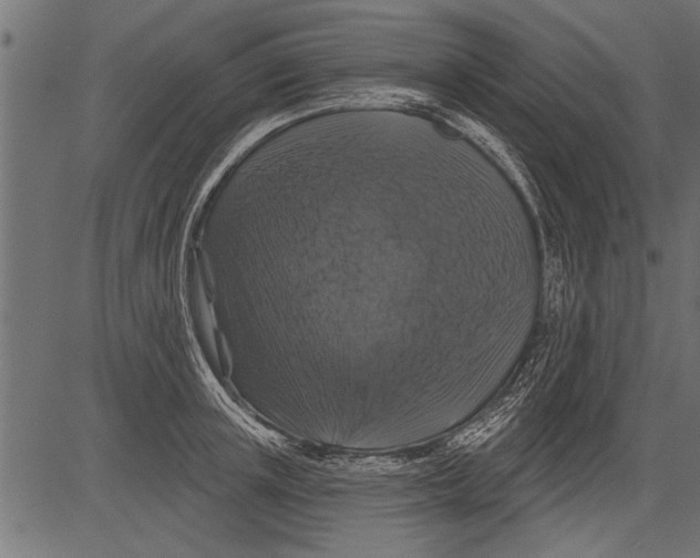 X0000081360851200702020138