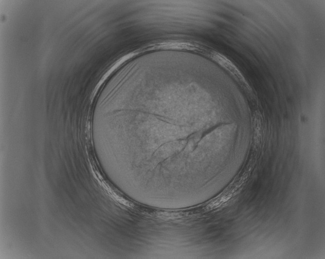 X0000081360852200702020138