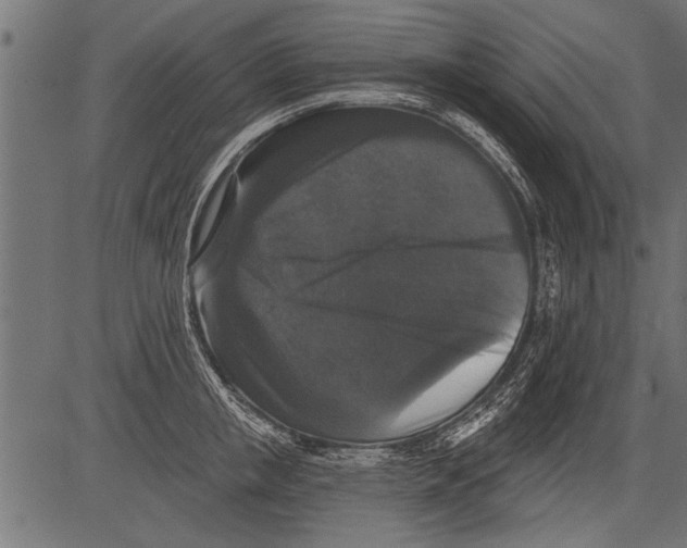 X0000081360853200702020138