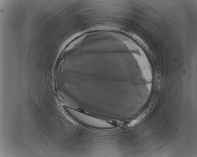 X0000081360854200702020138