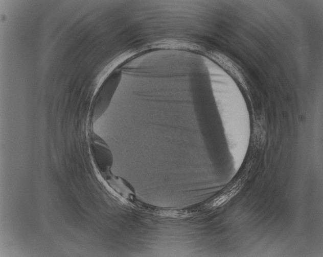 X0000081360855200702020138