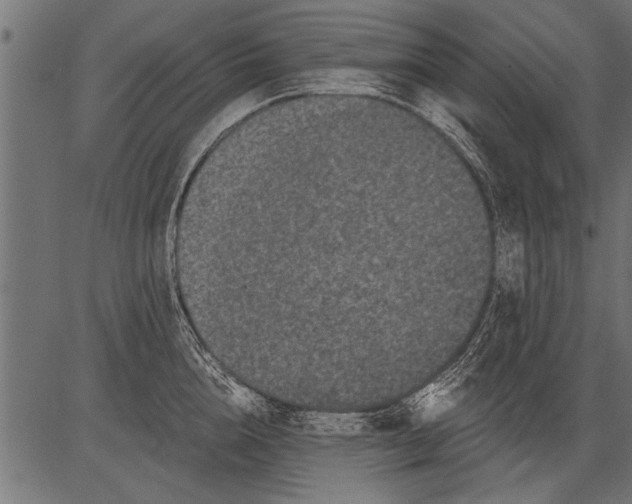 X0000081360856200702020138