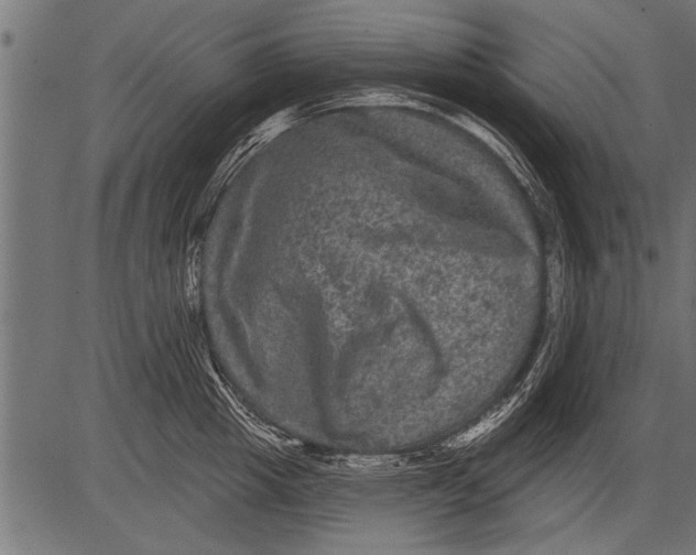 X0000081360857200702020138