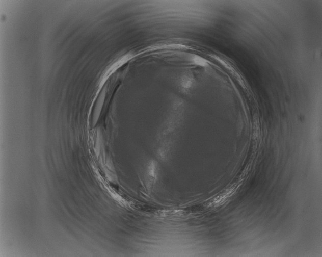 X0000081360858200702020138