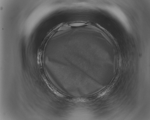 X0000081360862200702020138