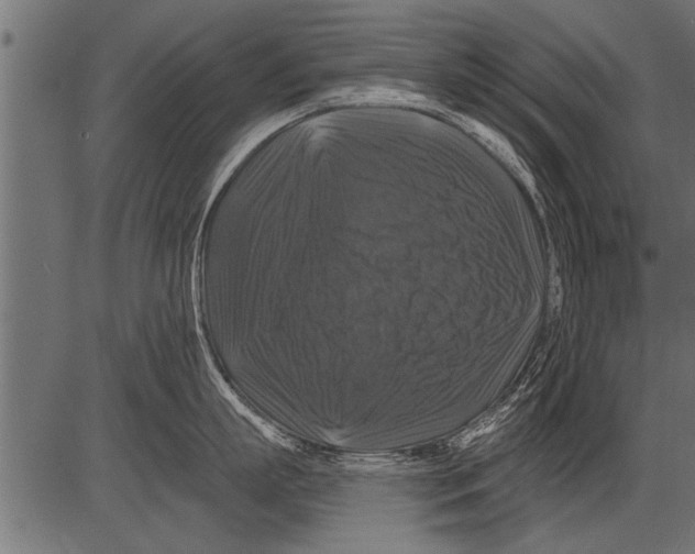 X0000081360863200702020138