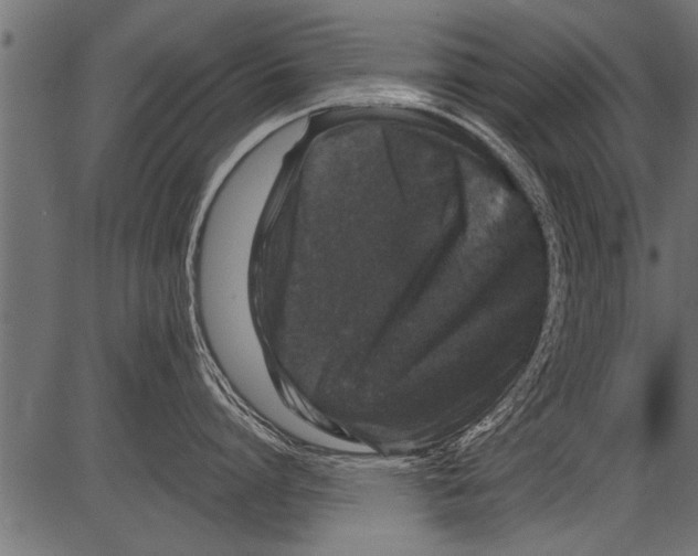 X0000081360864200702020138