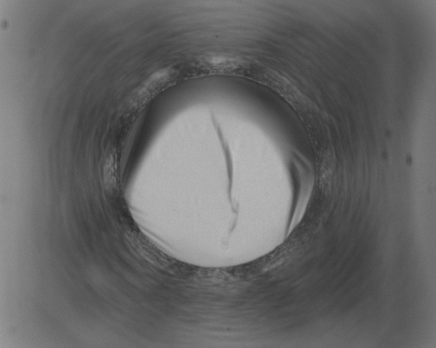 X0000081360866200702020137