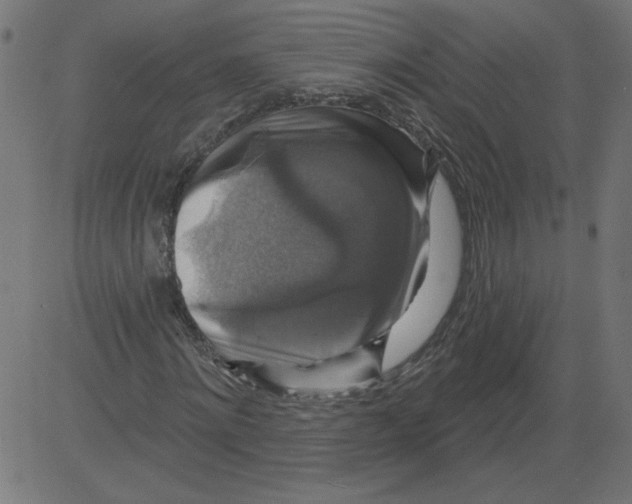 X0000081360868200702020137