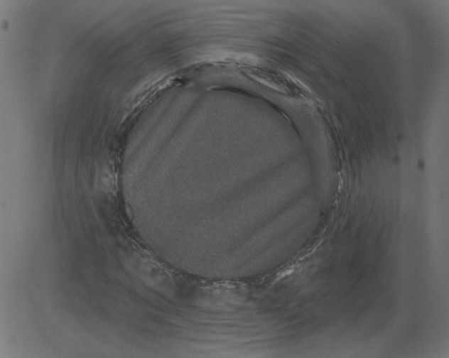 X0000081360869200702020137