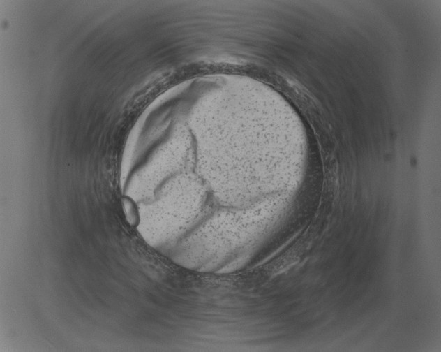 X0000081360870200702020137