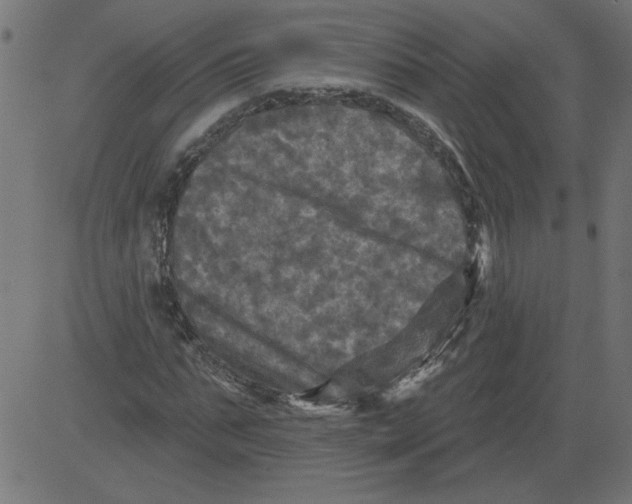 X0000081360871200702020137