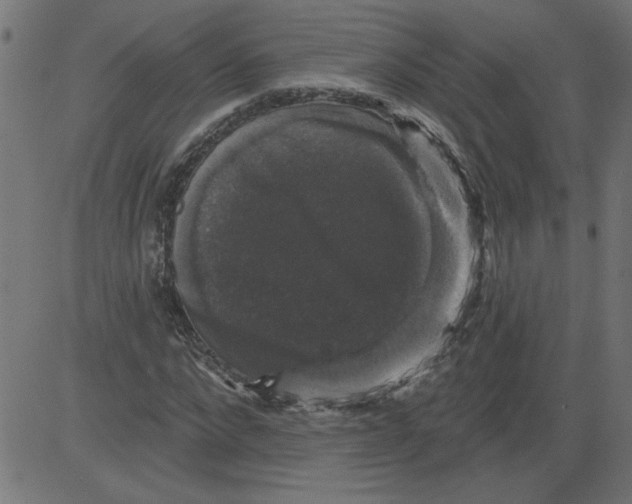 X0000081360872200702020137