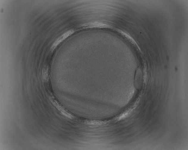 X0000081360873200702020137