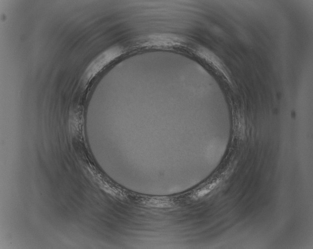 X0000081360874200702020137