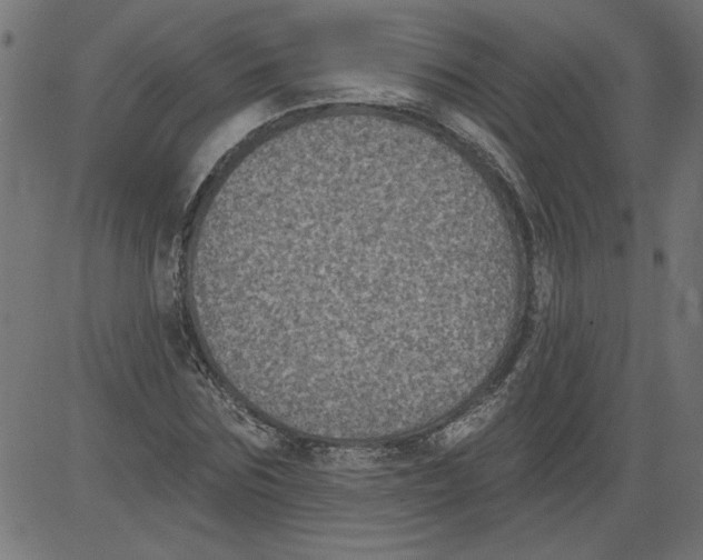 X0000081360875200702020137