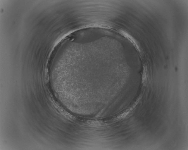 X0000081360876200702020137