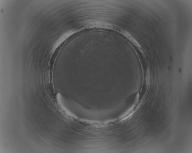 X0000081360877200702020137