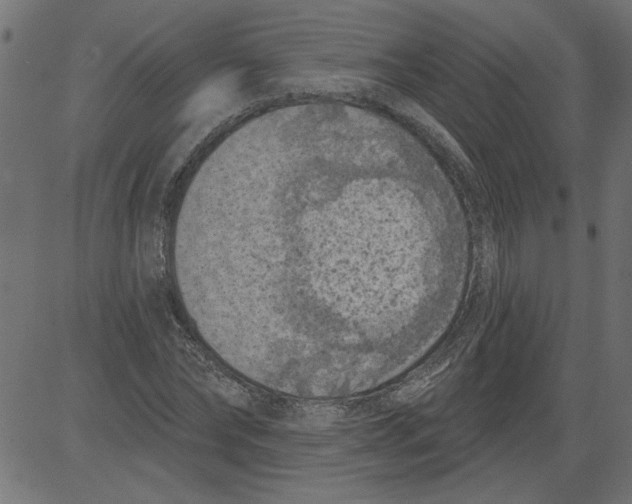 X0000081360878200702020137