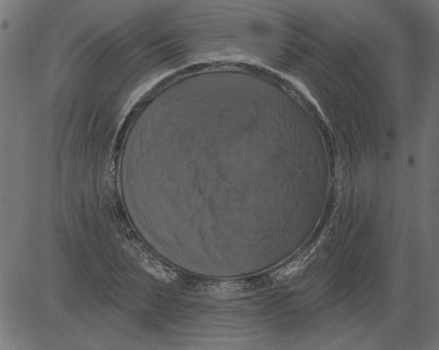 X0000081360879200702020137