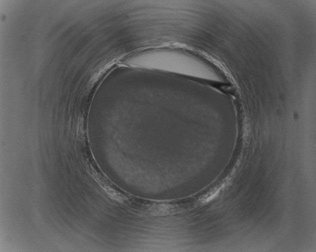 X0000081360881200702020137