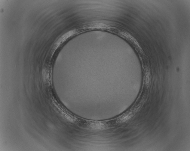 X0000081360882200702020137