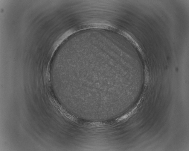 X0000081360883200702020137