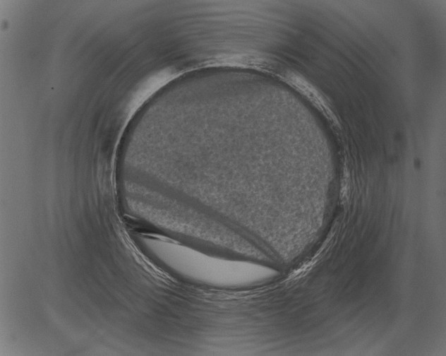 X0000081360884200702020137