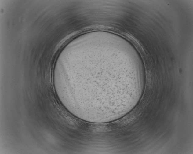 X0000081360886200702020137