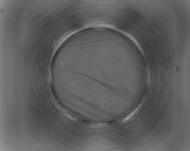 X0000081360887200702020137