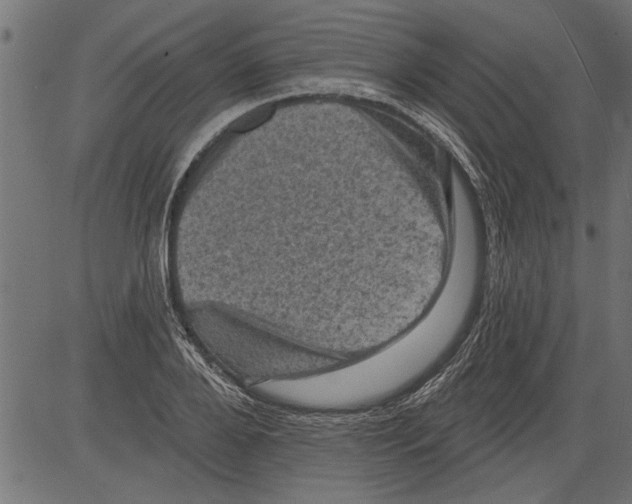 X0000081360888200702020137