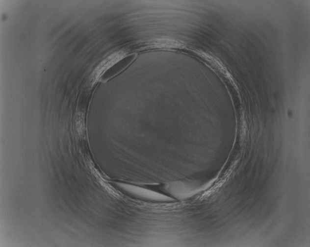 X0000081360889200702020137