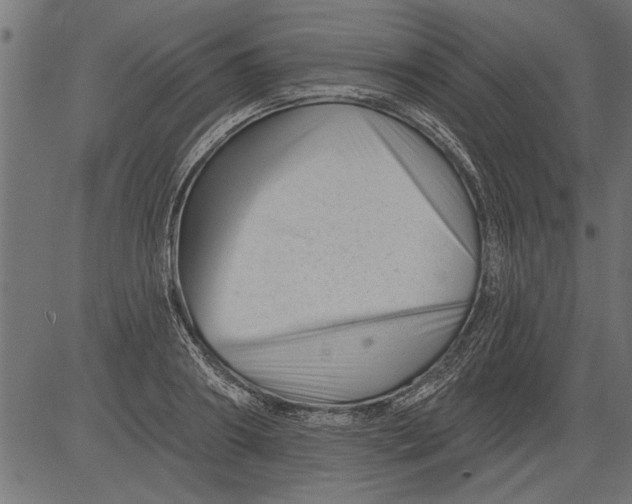 X0000081360890200702020137