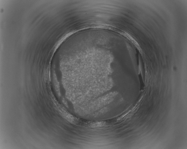 X0000081360891200702020137