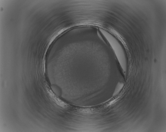 X0000081360892200702020137