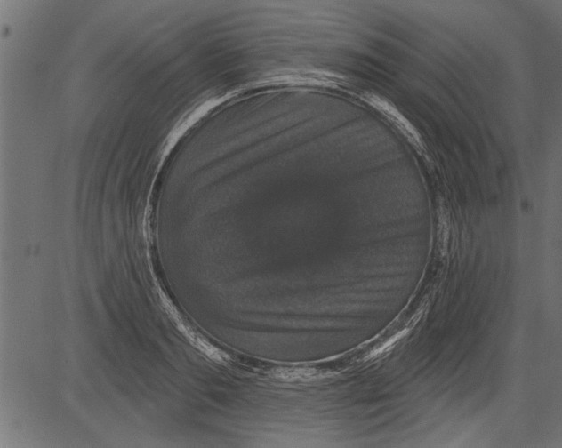 X0000081360893200702020137