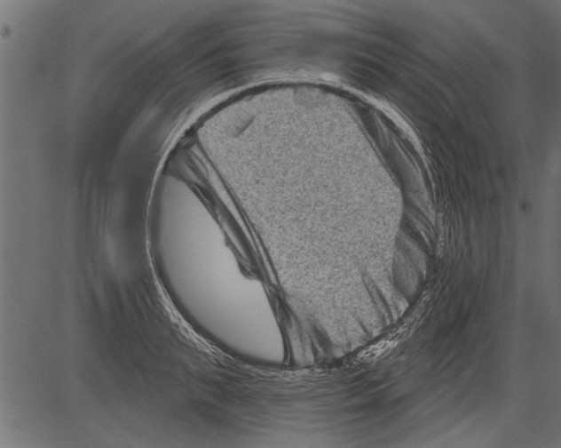 X0000081360895200702020137