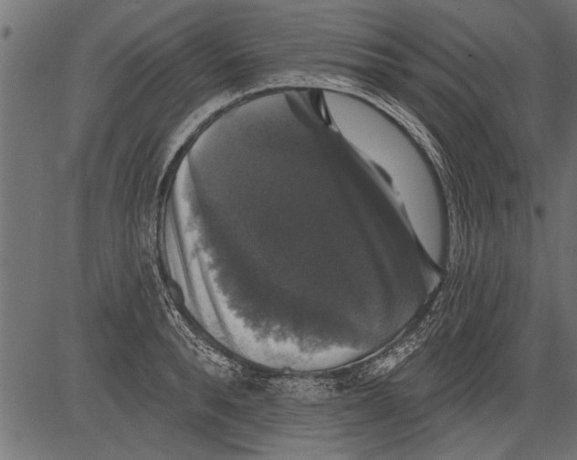 X0000081360896200702020137