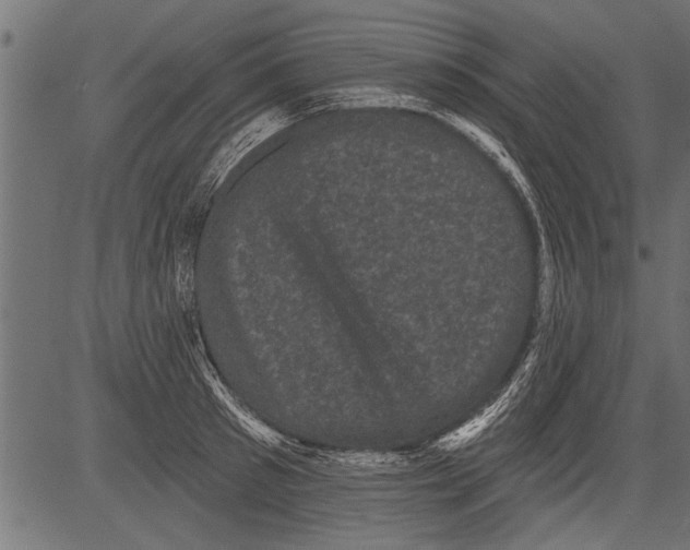 X0000081360897200702020137